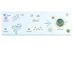 负载锌离子Zn²⁺和万古霉素的纳米颗粒被甘露糖修饰 Zn²⁺/Van@NPs-Man产品图