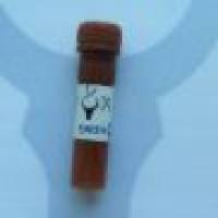 Dylight 680,Goat Anti-Rabbit IgG(H+L)Dylight 680标记,山羊抗兔二抗