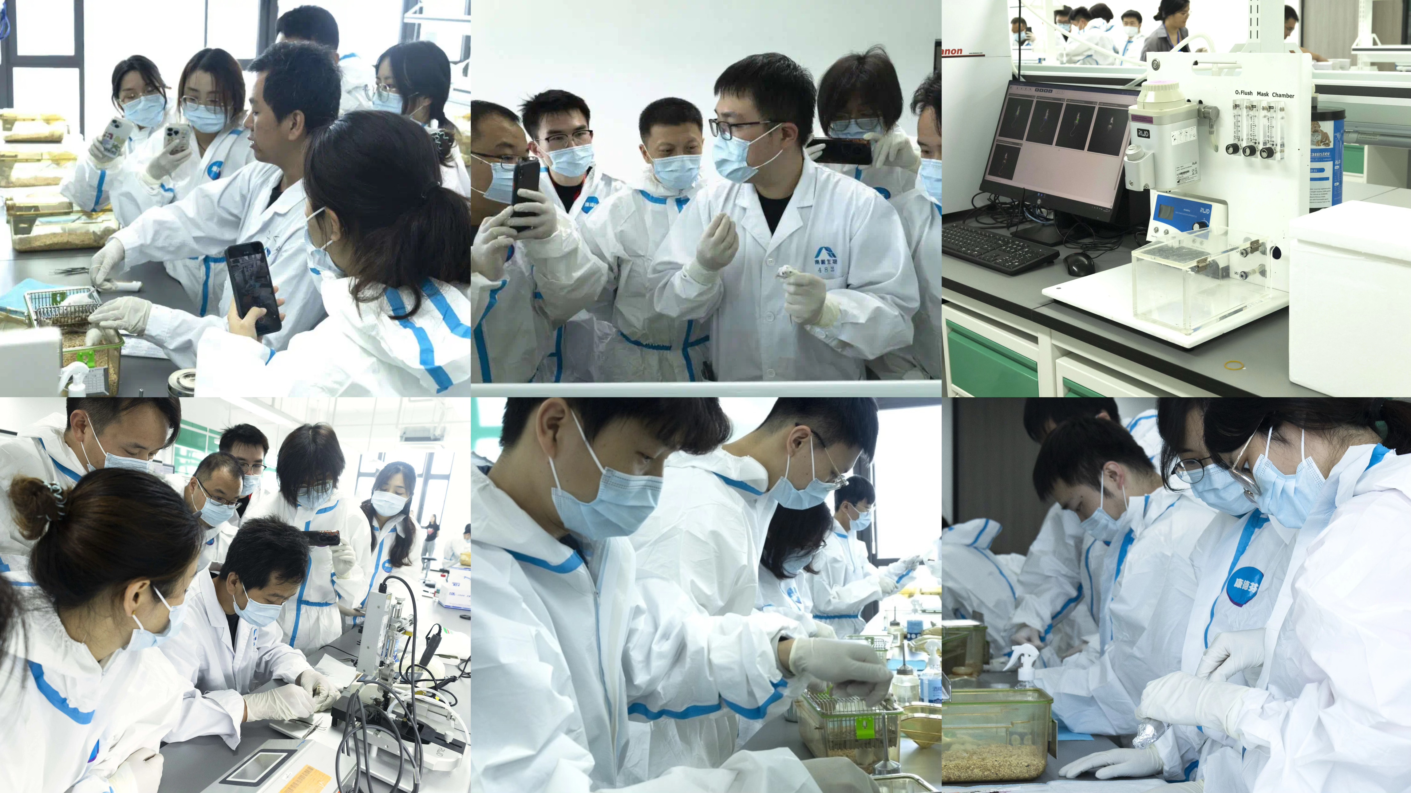 皮下/原位肿瘤模型构建实训班精彩回顾