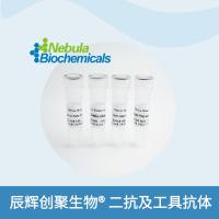 同型对照抗体 | Human Isotype Control Antibody (IgG2 kappa, P331S)