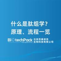 什么是肽组学？原理、流程一览
