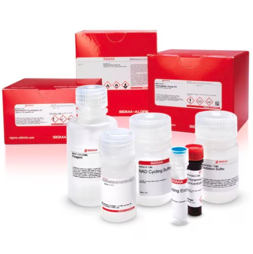 Sigma货号MAK099谷氨酸脱氢酶(GDH)活性检测试剂盒13611631389上海睿安生物