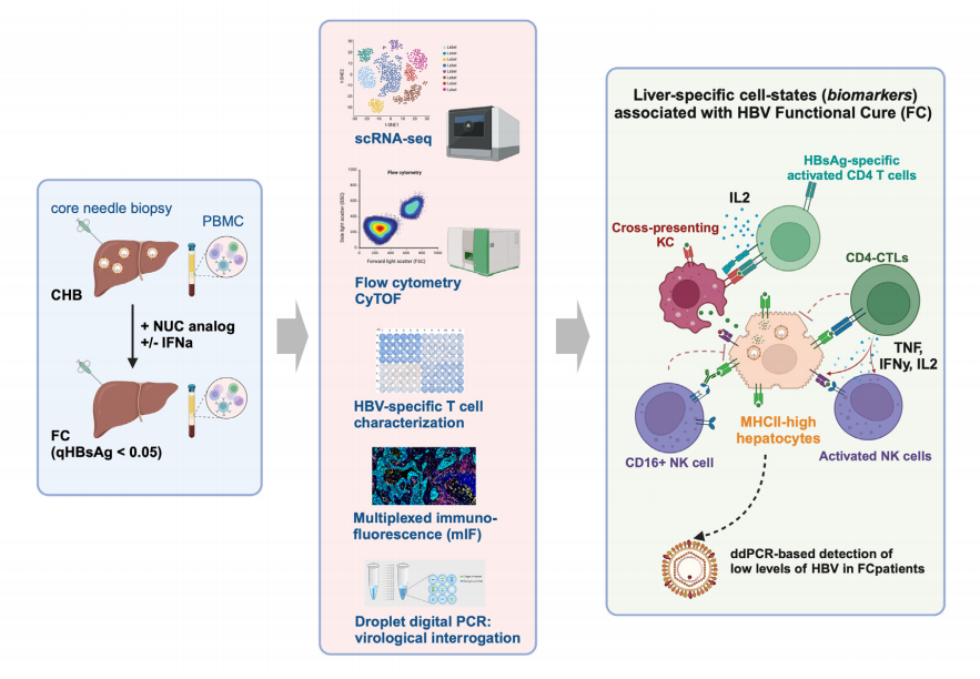 技术资料图片11