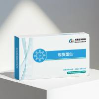 Human IL-12B Protein; His Tag