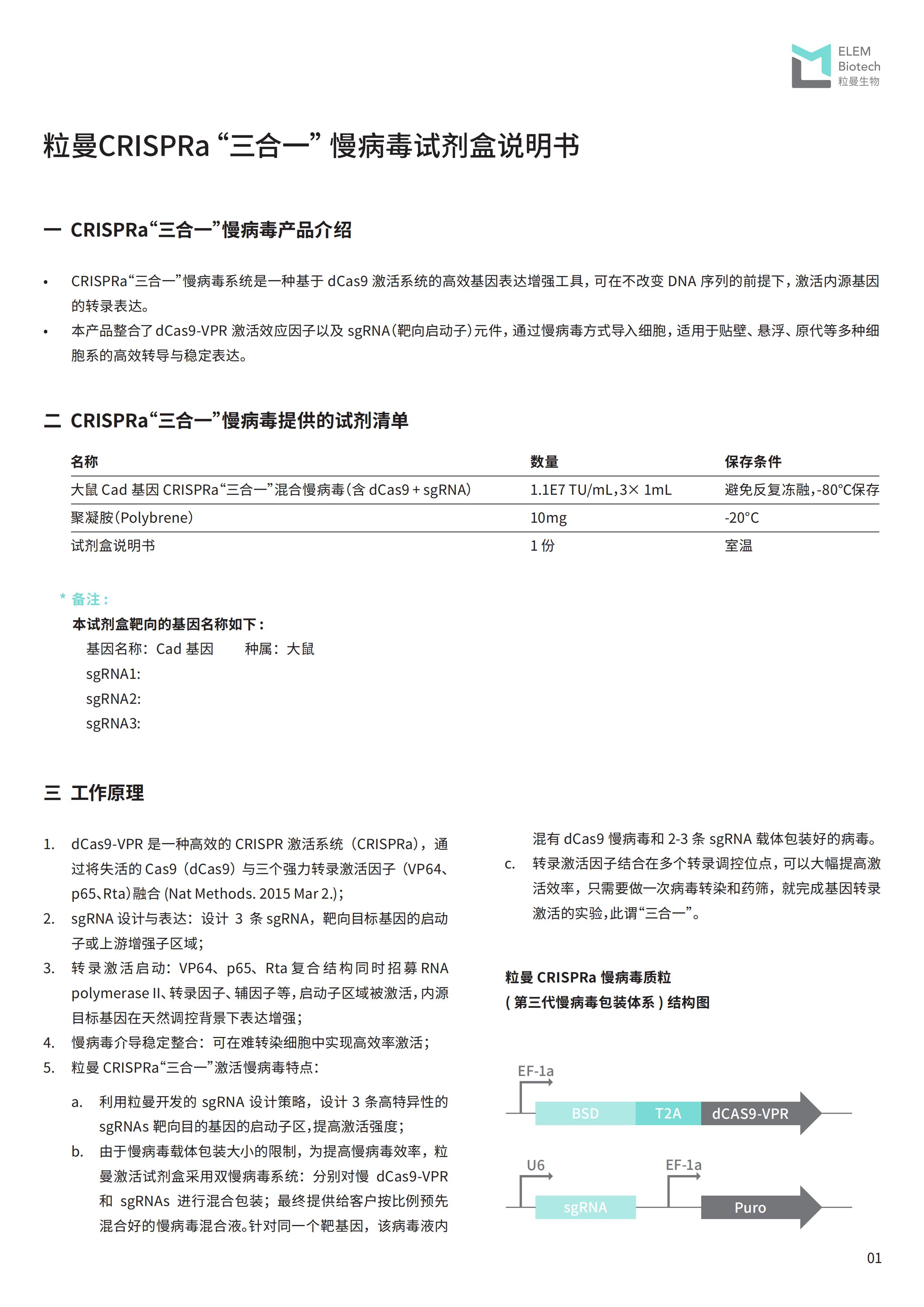 粒曼 CRISPRa激活“三合一”慢病毒试剂盒说明书_250614_00.jpg
