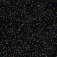 弥漫大B细胞淋巴瘤 OCILY19