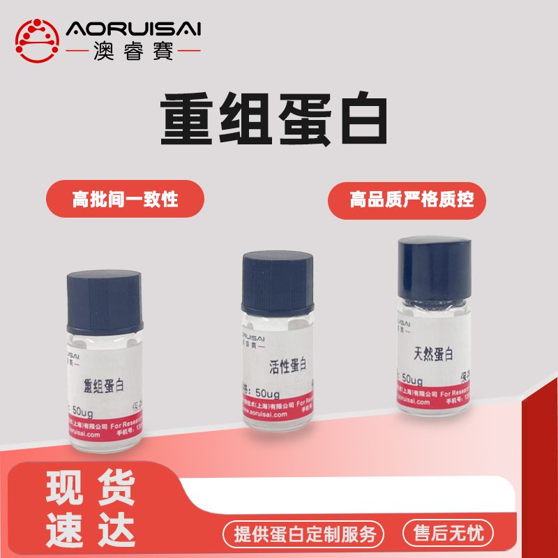 Proteinase K Recombinant Protein