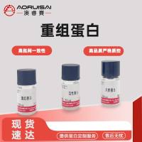 Recombinant Human Signal transducer CD24(CD24)-Nanoparticle (Active)