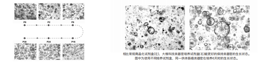 产品细节图片2