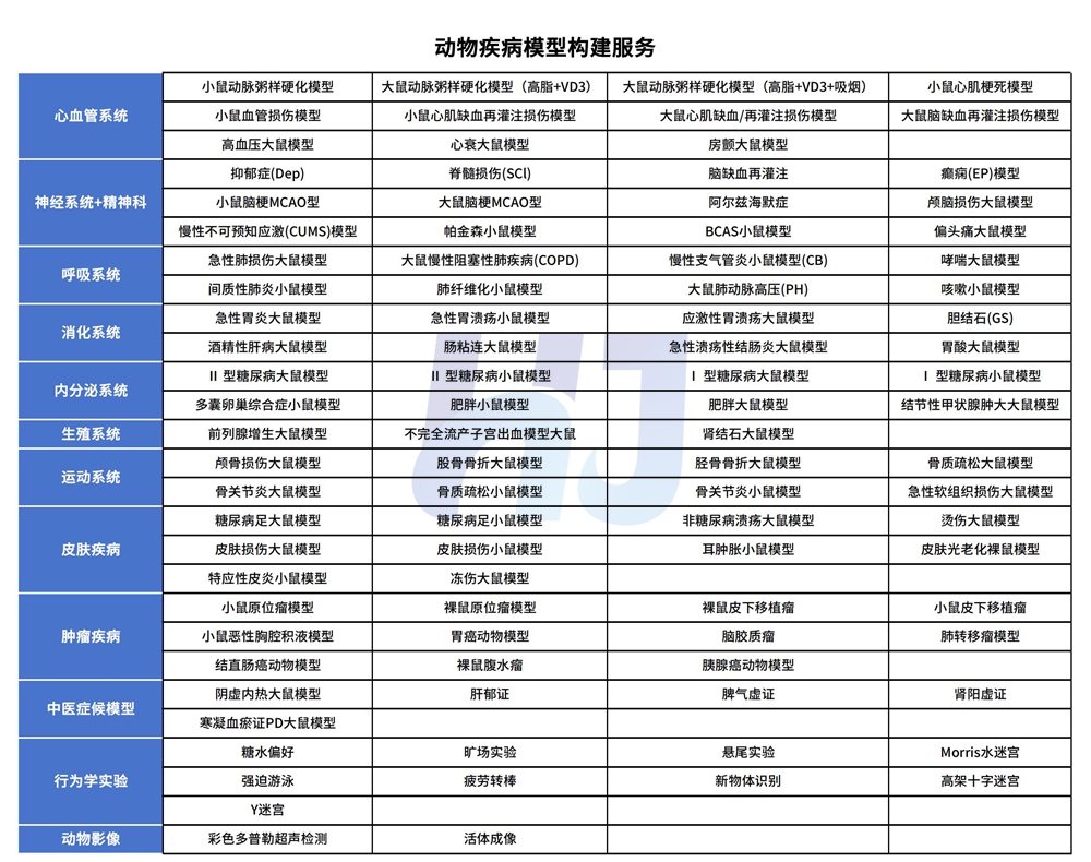 科研速递 | 动脉粥样硬化大鼠模型构建实验全解析