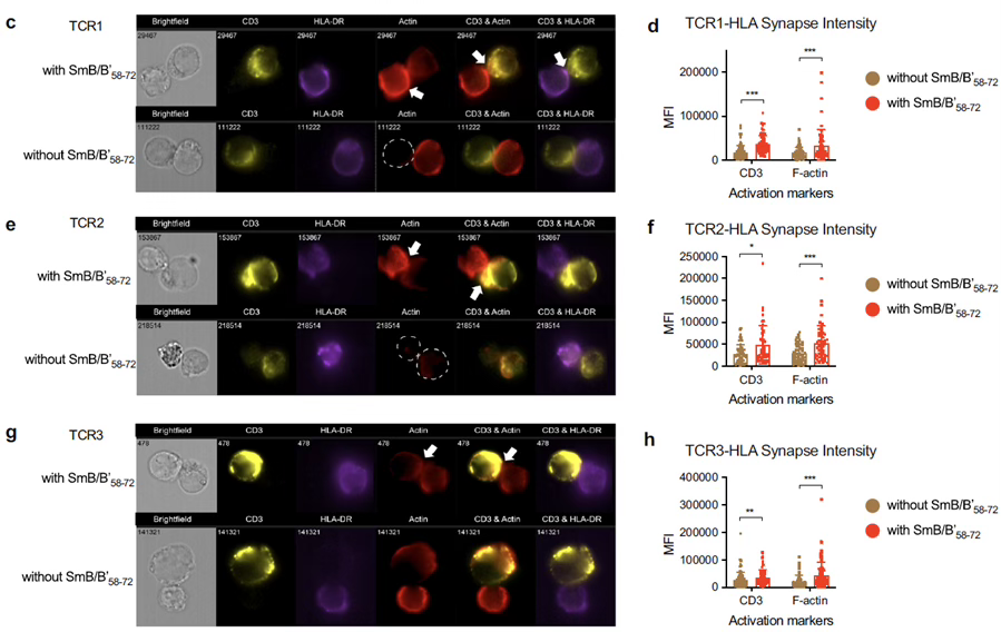 双剑合璧，助力创新--全光谱流式与成像流式技术强强联手，为创新研究奉上强大助力