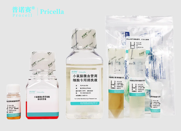 小鼠脑微血管周细胞分离培养试剂盒，细胞分离提取不再难