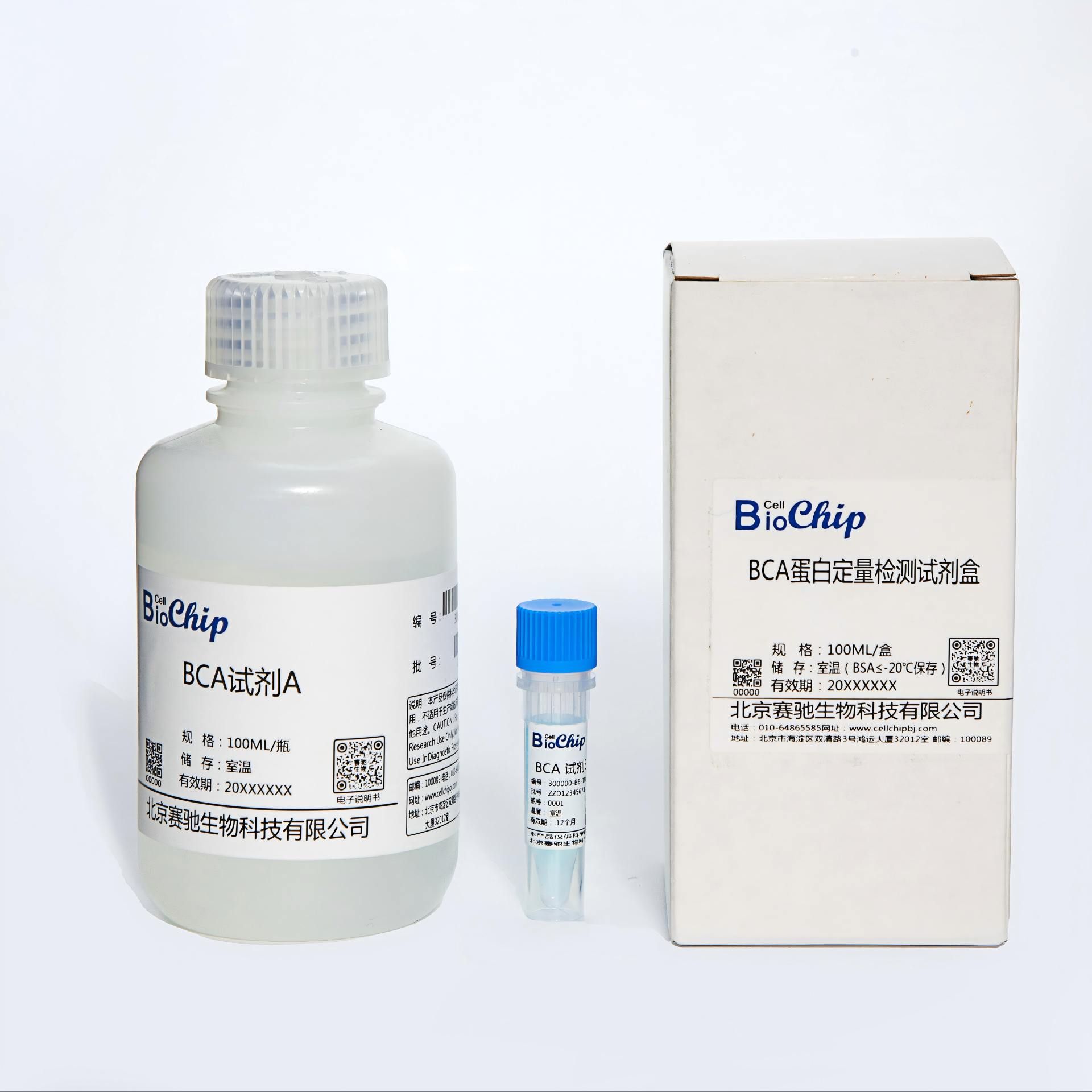 BCA蛋白浓度测定试剂盒