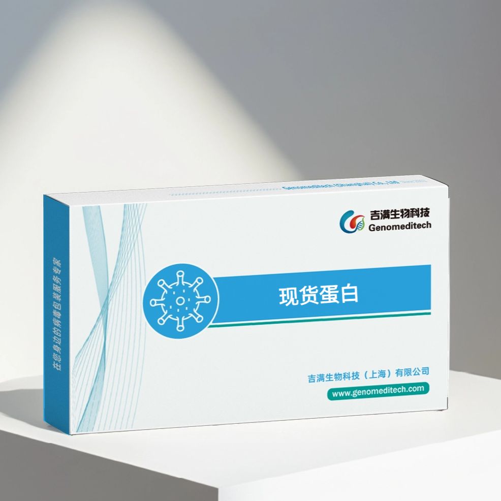 Human IL-7 Protein; His Tag