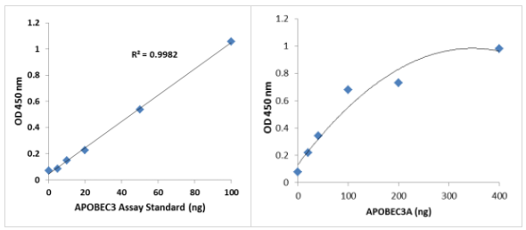 Epigenase APOBEC 3胞苷脱氨酶活性/抑制测定试剂盒享促销，科研好帮手