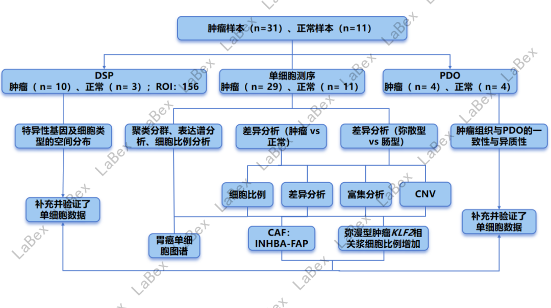技术资料图片4