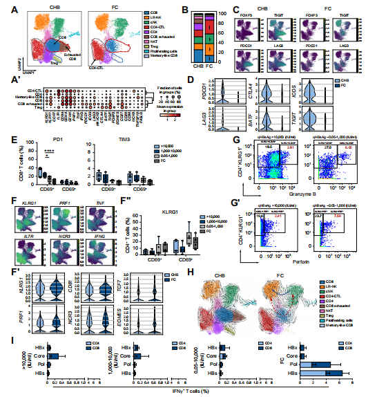 技术资料图片18