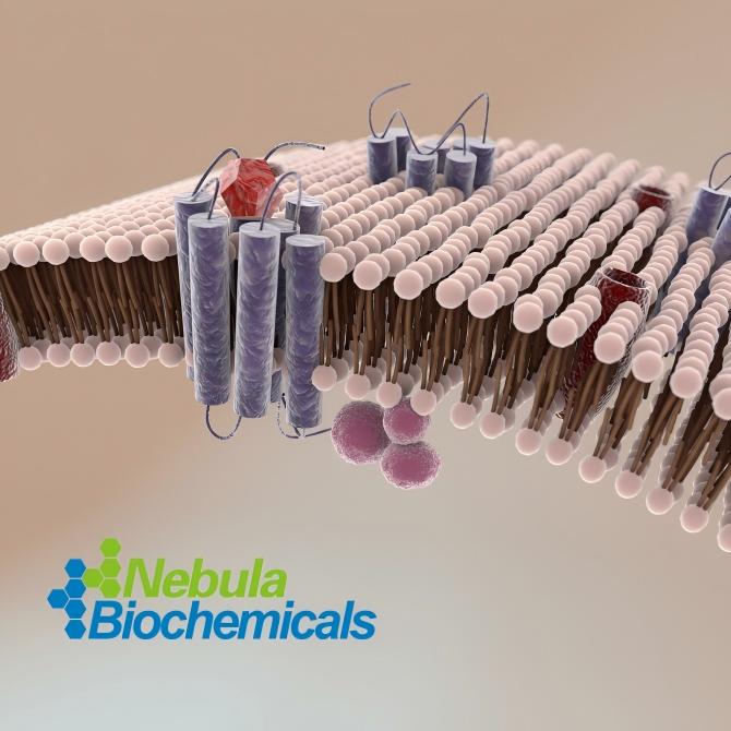 CHRM1蛋白 | Recombinant Human CH