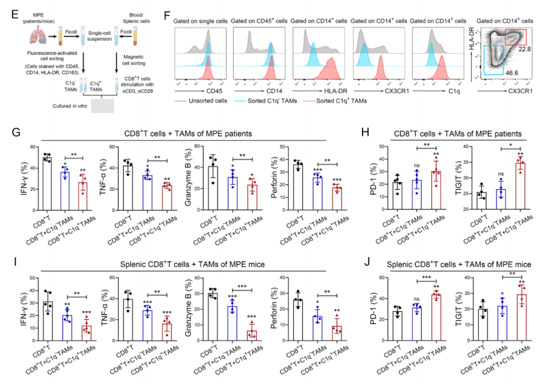 技术资料图片13