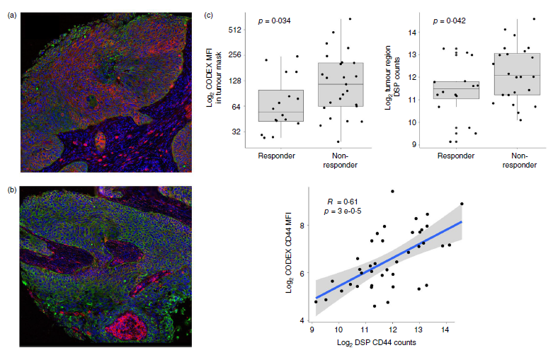 技术资料图片16