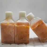 科研用食蟹猴血浆(柠檬酸钠,肝素钠,EDTA)