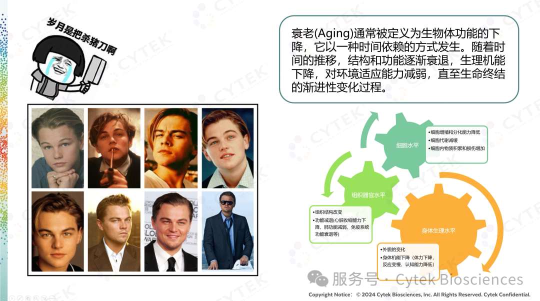 全光谱和成像流式在衰老研究中的应用