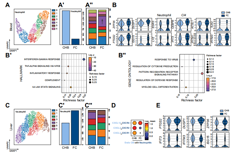 技术资料图片19