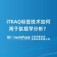 iTRAQ标签技术如何用于肽组学分析？