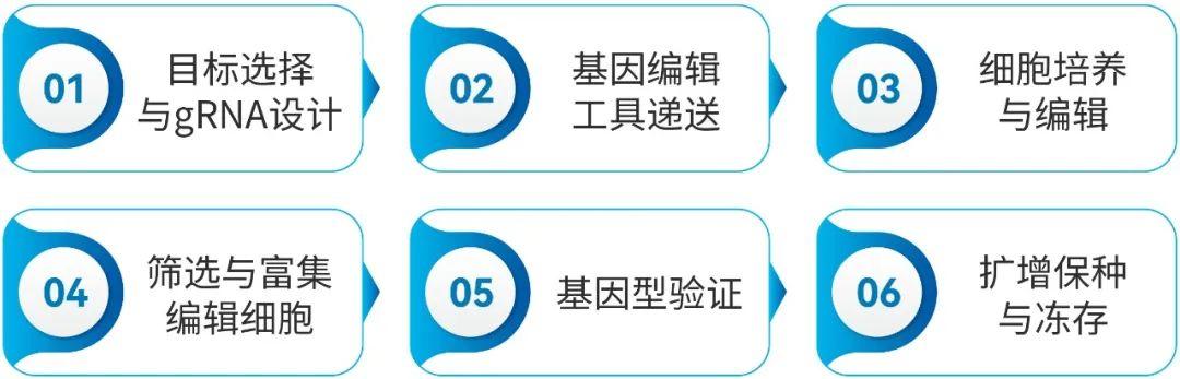 【服务推荐】基因编辑细胞系构建