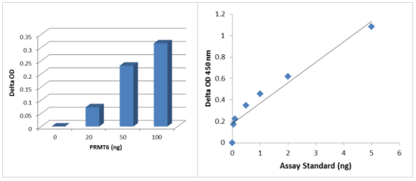 表基因酶I型PRMT甲基转移酶活性/抑制测定试剂盒（比色法），开启科研新旅程