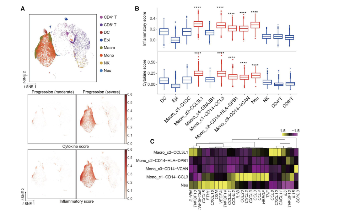 技术资料图片12