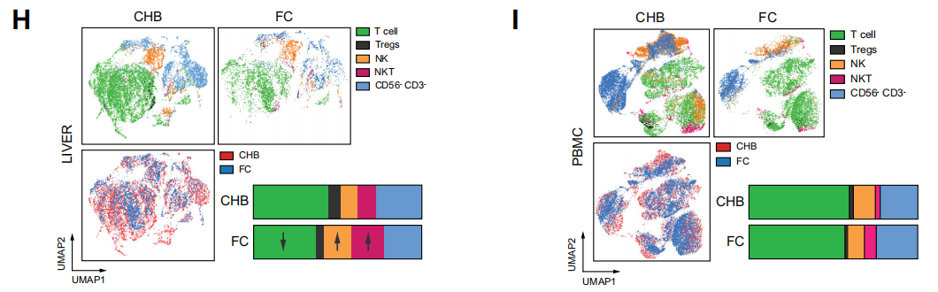 技术资料图片17
