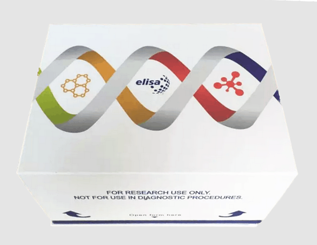 ELISA试剂盒..png