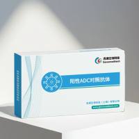 Anti-CD276(B7H3)-DXD (Dar4)[Ifinatamab deruxtecan]