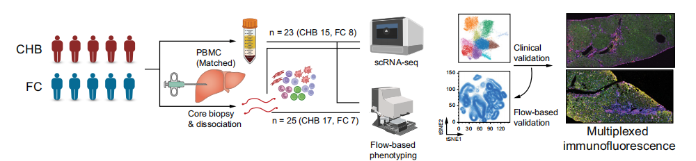 技术资料图片12
