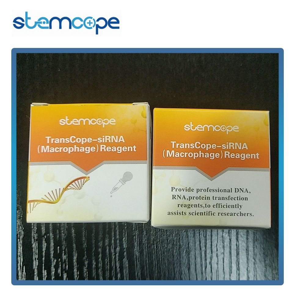 Stemcope转染试剂 TCM-1500 1.5mL TransCope-siRNA(Macrophage)
