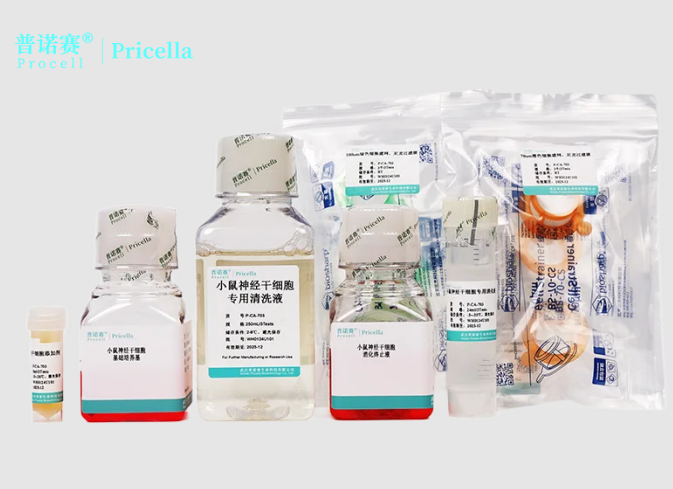 科研新手必看！小鼠神经干细胞分离培养试剂盒