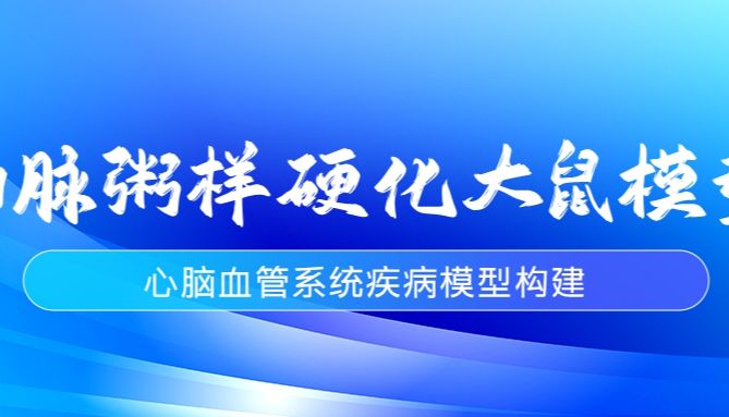 科研速递 | 动脉粥样硬化大鼠模型构建实验全解析