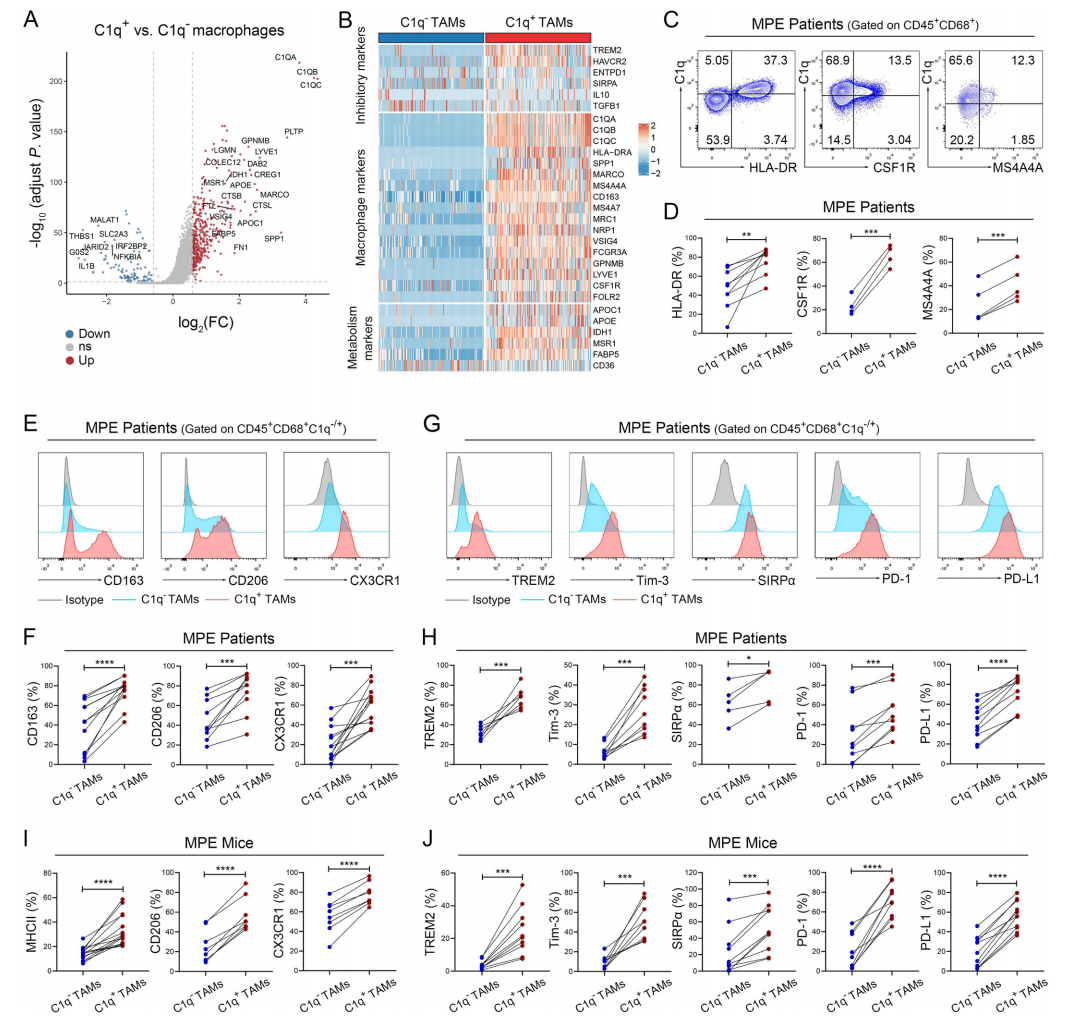 技术资料图片12
