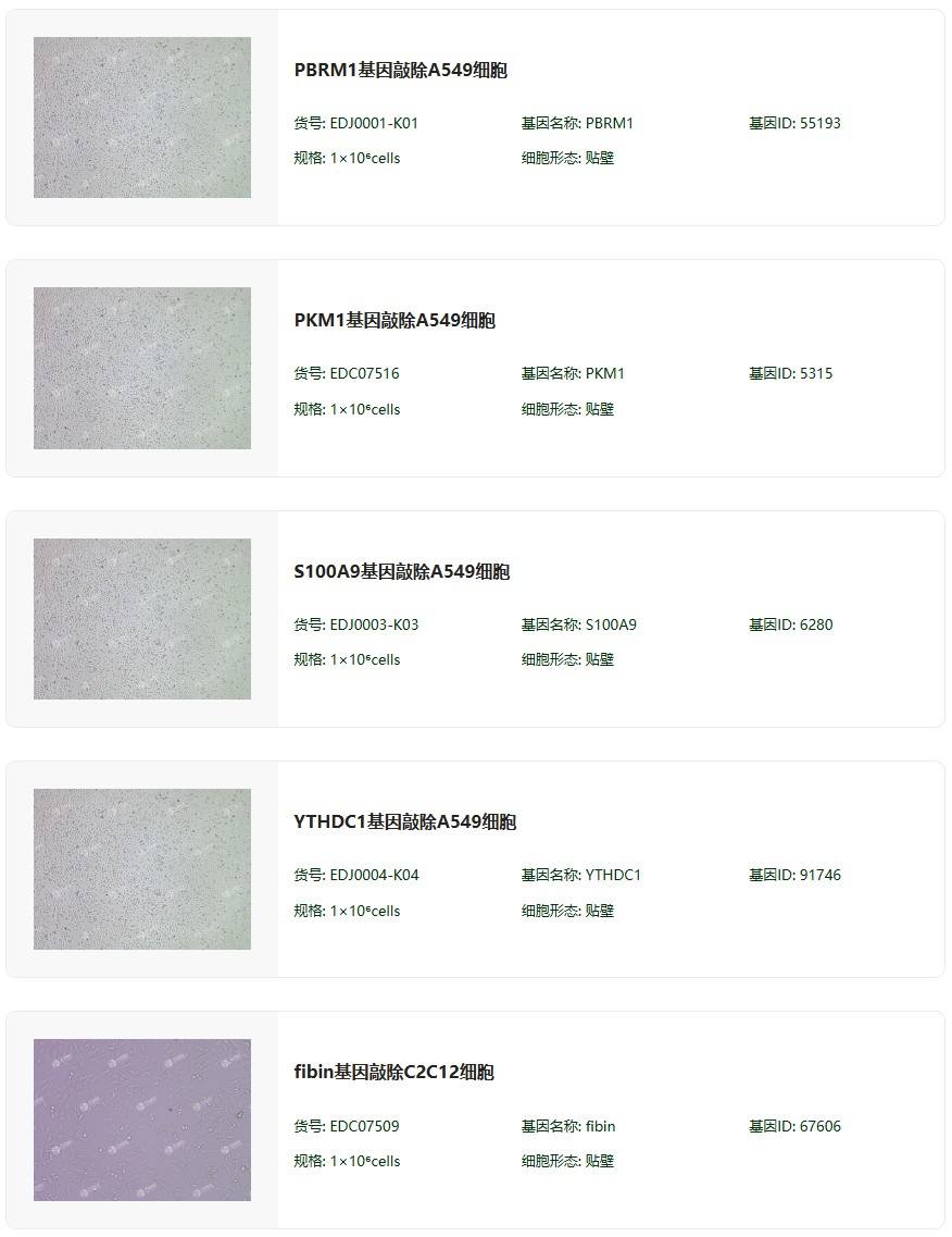 CRISPR-Cas9基因敲除细胞株构建服务（单基因敲除/多