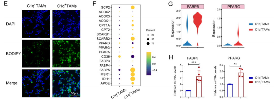 技术资料图片16