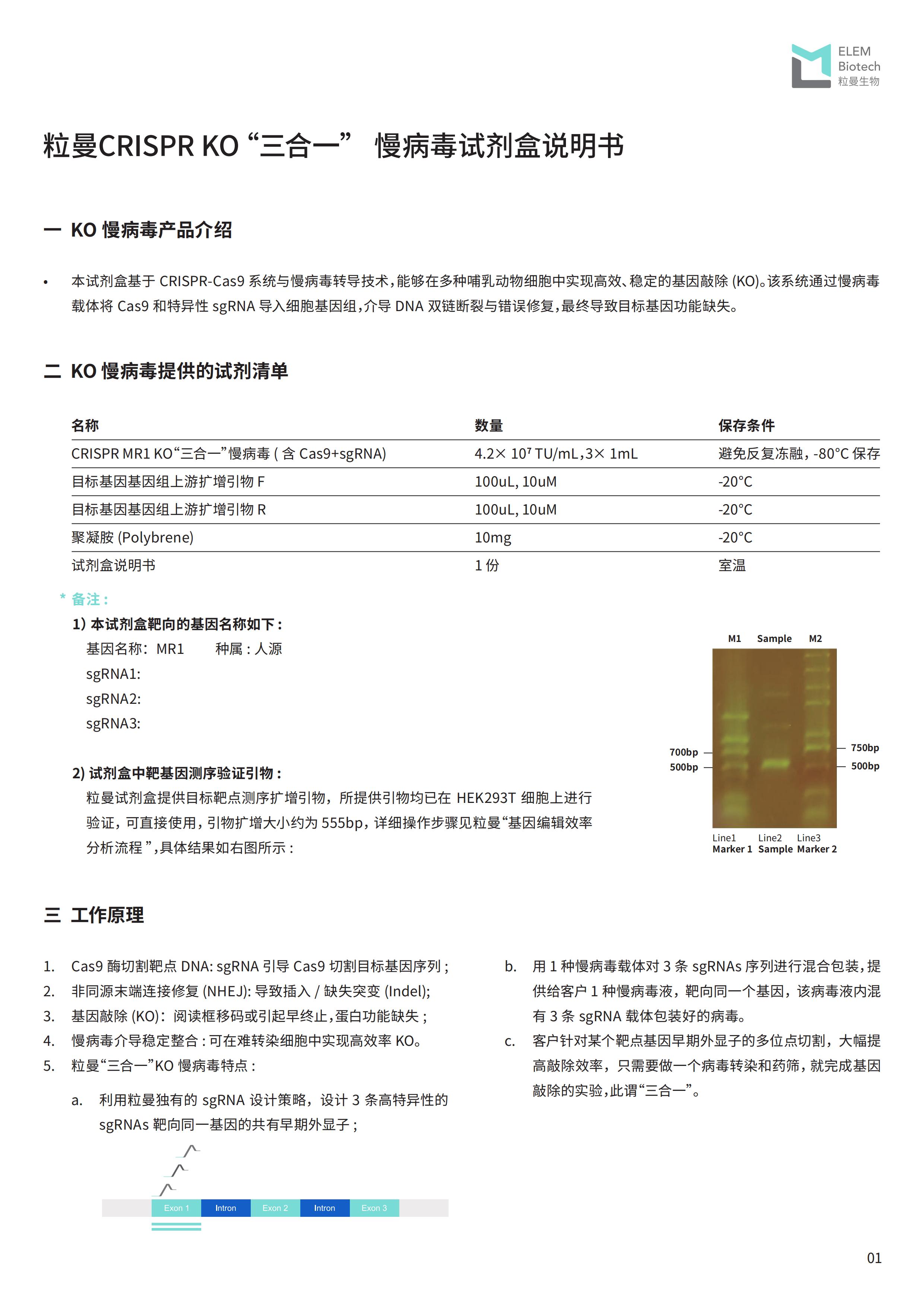 粒曼 CRISPR KO“三合一“ 慢病毒试剂盒说明书_图片版_00.jpg