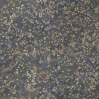 人骨髓瘤细胞 NCI-H929