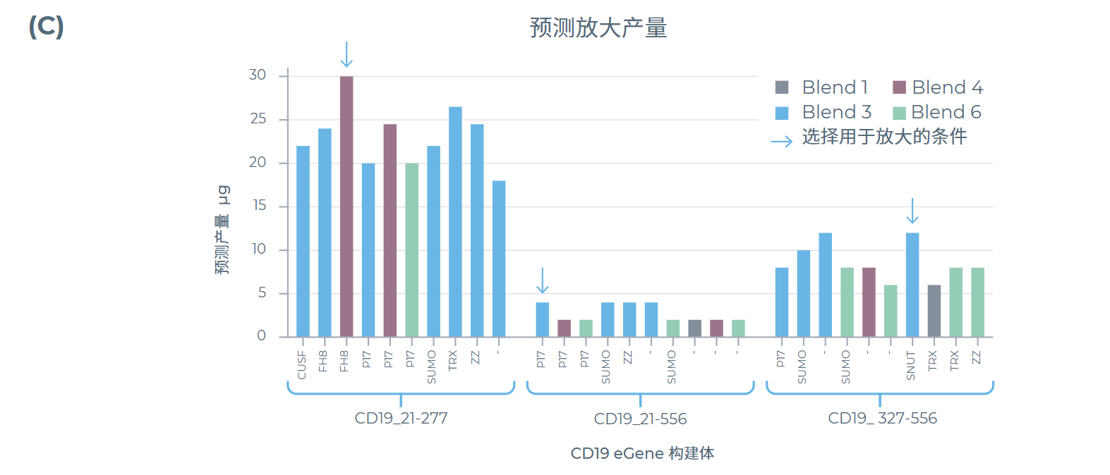 筛选结果:200μL放大体系的预测产量