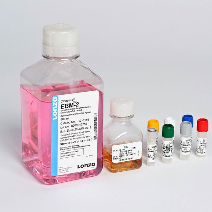 EGM®-2 MV Microvascular Endothelial Cell Growth Medium-2 BulletKit®