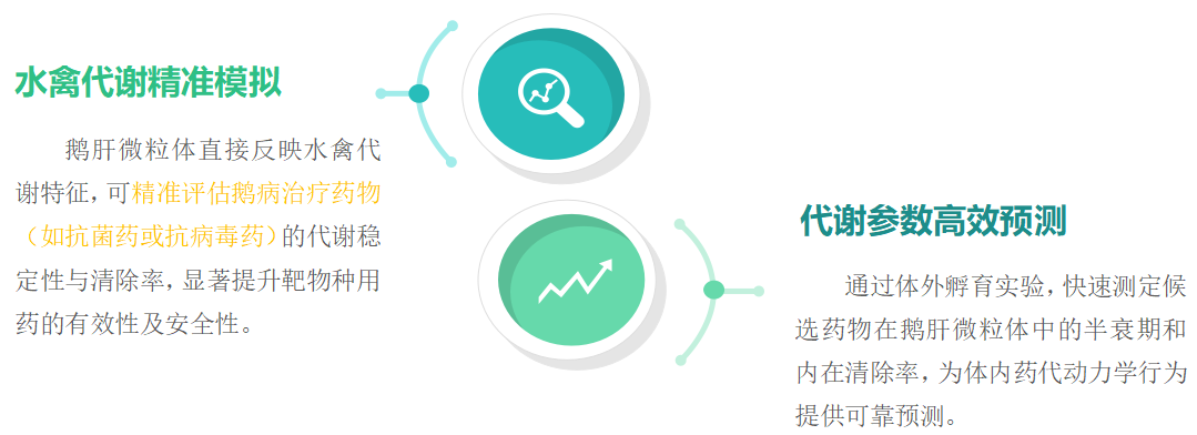 鹅肝微粒体 2.png