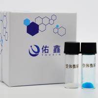 均相化学发光纳米微球