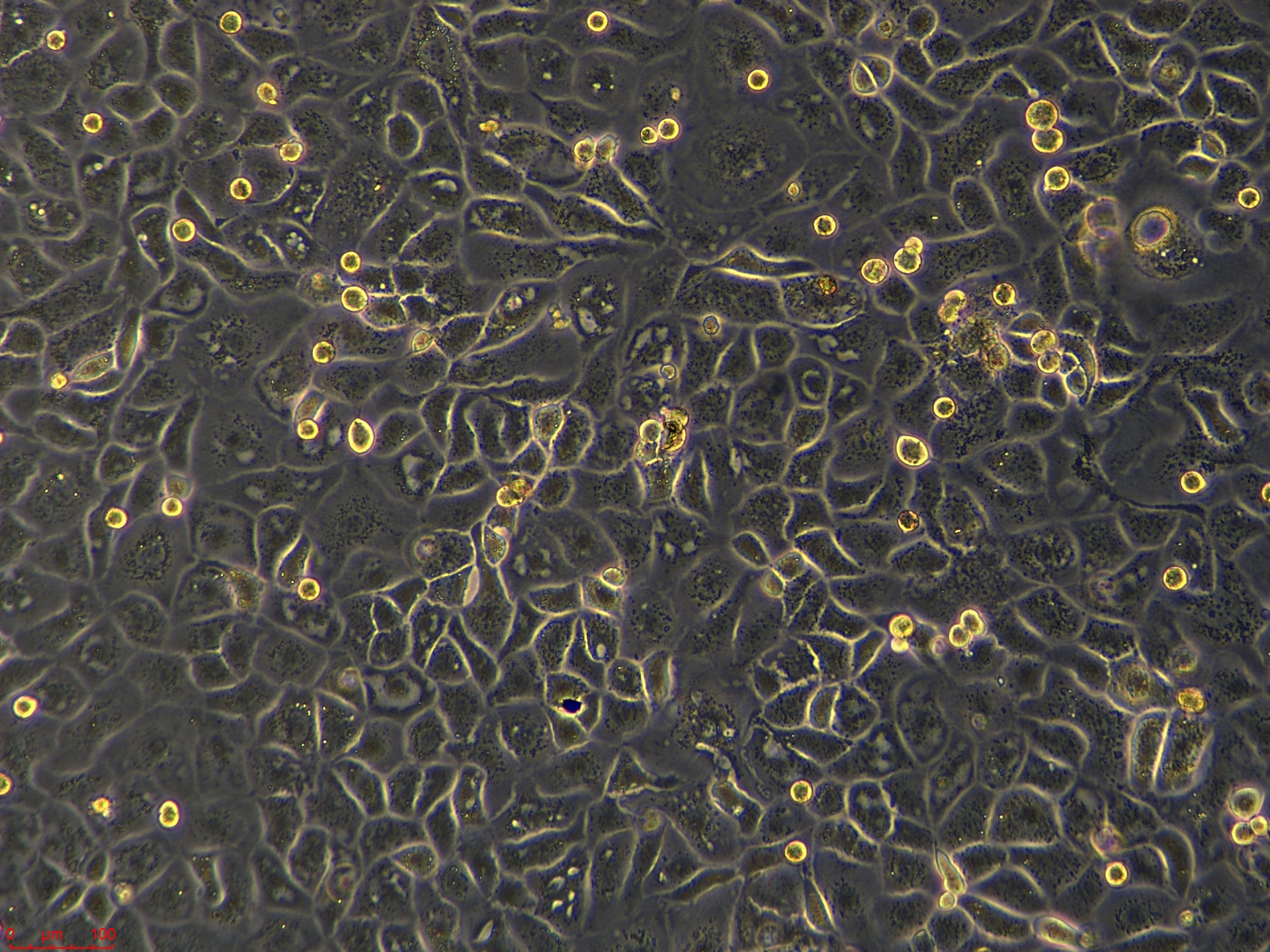 Project_FU97_ch00 (2).jpg