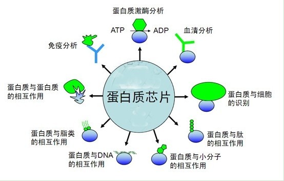 技术资料图片1