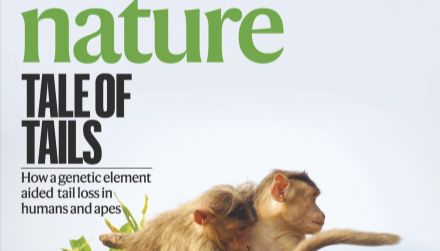 Nature | 突破！iPSC模型揭秘ALS/FTLD致病新机制，NPTX2成治疗新靶点